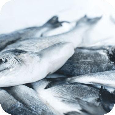 Cá tươi / cá khô